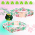 Lionheart Glory St. Patrick's Day Dog Collar, Green Flower Collar with Lucky Clover Shamrock for Large Dogs