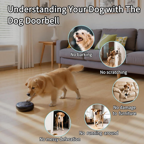 DFQ 2 1 1000 60 Wireless Dog Doorbell for Potty Training to Go Outside, Waterproof Pet Bell with Touch Buttons