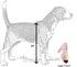 Dog Diggin Designs Runway Pup Collection - Unique High Heel Essentials Squeaky Plush Dog Toys