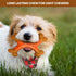SPOT Bam-Bones Dental X-Bone, Made with Bamboo Fiber, Durable Oral Care Chew for Light Chewers, 6in