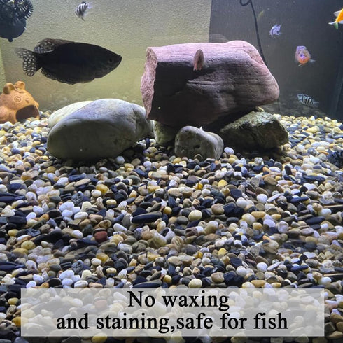 20 lbs Pea Gravel Pebbles for Indoor Plants, Mixed Color River Rocks for Aquarium and Garden Landscaping