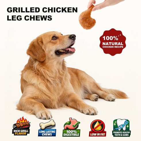 11 Count PETPHABET Rawhide Free Dog Chew Bones - Grilled Chicken Leg Dog Chews for Small Medium Breeds, Healthy Puppy