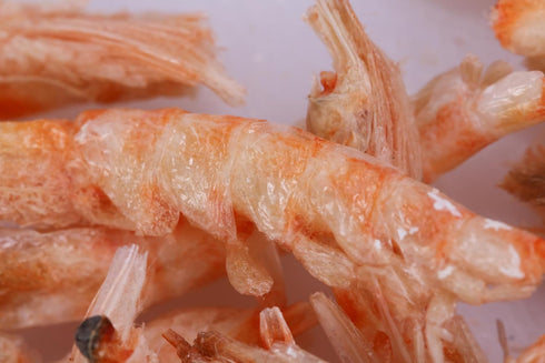 Premium Freeze-Dried Krill & Shrimp Mix, High Protein Floating Aquarium Food for Arowana, Koi, & Turtles