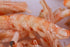 Premium Freeze-Dried Krill & Shrimp Mix, High Protein Floating Aquarium Food for Arowana, Koi, & Turtles