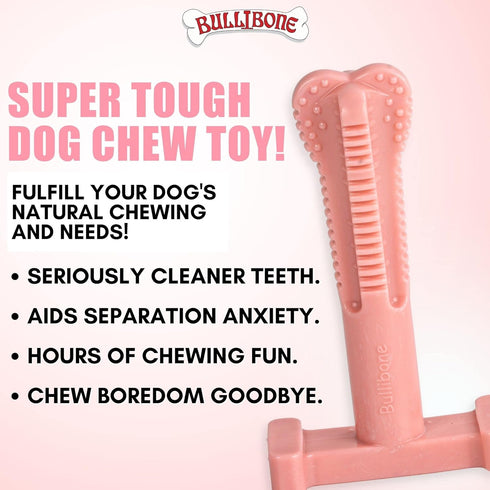 Bullibone SuperBrush: Dog Teeth Cleaning Brushing Toothbrush Stick - Long Lasting Nylon Pink Peppermint Chew Toy for Oral Care and Dental Health