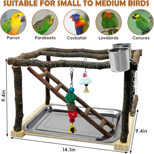 Tfwadmx Parrots Playstand Bird Play Gym Cockatiel Playground Wood Perch Stand Climb Swing Ladders Chewing Toys