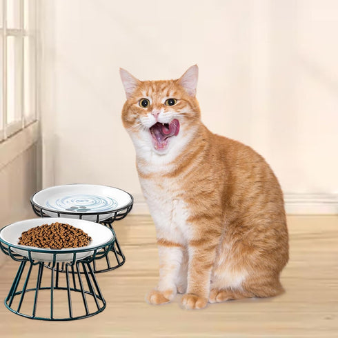 Ceramic Cat Bowls with Metal Stand, 2 Pack Elevated Shallow Dish for Indoor Cats, Puppies, Small Dogs