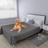 Easy-Going 100% Waterproof Dog Bed Cover, Non-Slip Washable Couch Cover, Replacement Sofa Cover (86x82 in, Gray)