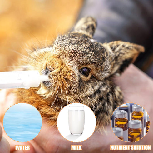 Baby Bird Feeding Syringe Set, 20ml Pet Parrot Milk Feeding Syringe with Tubes for Scientific Industrial Labs