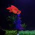 Silicone Artificial Fish Aquarium Decoration - High Simulation Lifelike Floating Fake Betta Fish Tank Ornament (Red