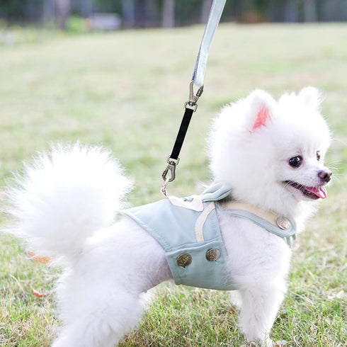 Heavy Duty Double Ended Collar Backup Clip for Dog Harnesses, Lockable Safety Clip for Prong Collar