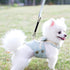 Heavy Duty Double Ended Collar Backup Clip for Dog Harnesses, Lockable Safety Clip for Prong Collar