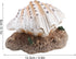 Acouto Aquarium Bubbler Decor - Coral Reef Aerating Action Ornament, Fish Tank Shell Pearl Bubbler Decoration