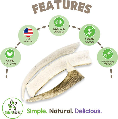 Nature Gnaws USA Elk Antlers for Dogs 5-8" (3 Count) - Long Lasting Natural Chew Bones for Aggressive Chewers
