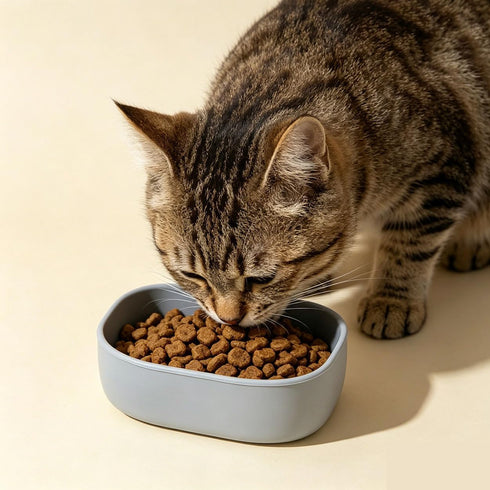 TsuvyXeg 200ml Pet Food Storage Container with Lids Cat Cans Cover Silicone Sealer Reusable for Cats Dogs