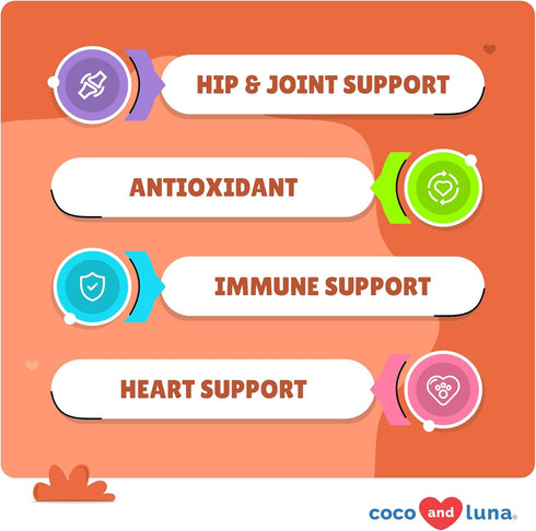 Turmeric for Dogs - 120 Chewable Tablets for Anti-Inflammatory Pain Relief & Joint Support