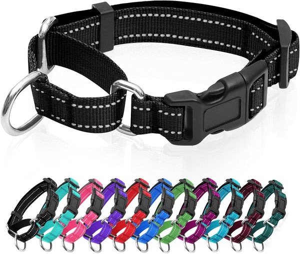 Reflective Martingale Dog Collar with Quick Release Buckle, Adjustable Soft Padded Nylon Collar for Small Medium Large