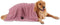 Bone Dry Pet Grooming Towel Collection - Absorbent Microfiber X-Large, 41x23.5", Embroidered Rose