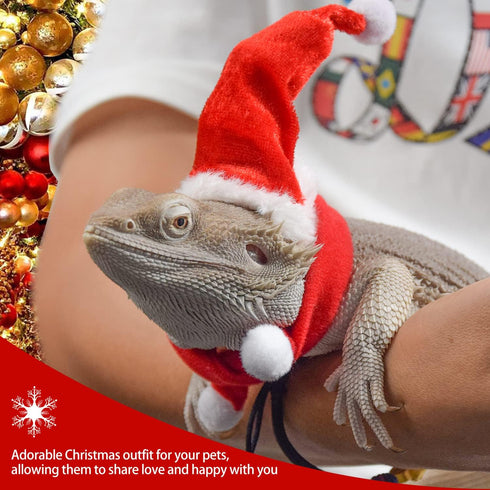 Bearded Dragon Clothes - Christmas Costume with Santa Hat and Scarf, Adjustable Strap, Mini Reptile Outfit (Red)