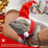 Bearded Dragon Clothes - Christmas Costume with Santa Hat and Scarf, Adjustable Strap, Mini Reptile Outfit (Red)