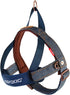 EzyDog Premium Quick Fit Adjustable Dog Harness Vest - Perfect for Training and Walking, Padded for Comfort (X-Small,