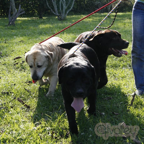 Alvalley Rope Dog Leashes with Stopper - Soft Braided No-Pull Gentle Leash - Adjustable for Small, Medium, Large Dogs