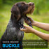 E Collar Replacement Strap, Shock Collar Replacement, Compatible with Pet Safe & Invisible Fence, Medium, Boho Tribal 3