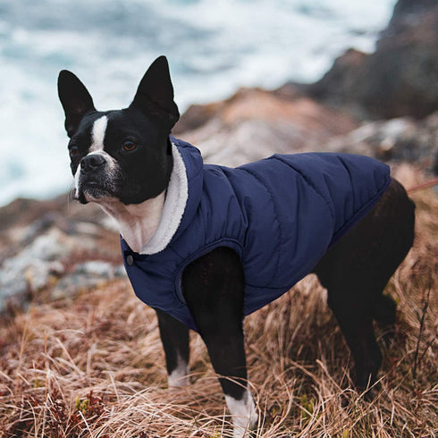 Fleece Hoodie, Windproof Waterproof Coat, Winter Warm Jacket for Small Medium Large Dogs (2XL: Blue)