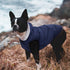 Fleece Hoodie, Windproof Waterproof Coat, Winter Warm Jacket for Small Medium Large Dogs (2XL: Blue)