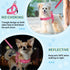 Lukovee No Pull Dog Harness and Leash Set, Soft Padded Adjustable Reflective Vest for Small Dogs, 4ft Anti-Twist Leash,