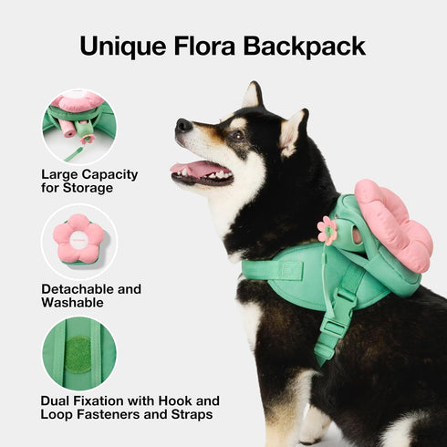 VETRESKA Flora Dog Harness, Leash and Collar Set | No Pull Vest Harness for Walking and Training, Adjustable, M