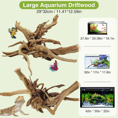 Tfwadmx Natural Driftwood for Aquarium, Reptile Branches, Terrarium Wood, 11-13 inch Pack of 2 Fish Tank Log Decoration