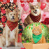 100 (25.6 17.7 17.7) Abbylike Pcs St. Patrick's Day Dog Bandanas Bulk Green Plaid Bandanas for Dogs Triangle Kerchief