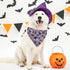 Halloween Dog Collar with Detachable Bandana, Adjustable Soft Pet Collar Set for Small Medium Large Dogs