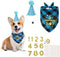 Mihachi Dog Birthday Party Supplies - Bandana and Hat with Number, Triangle Scarf for Decoration Gift for Small Medium