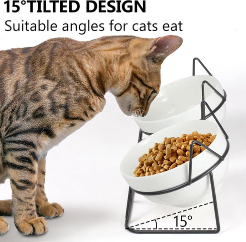 Elevated Tilted Cat Bowls for Indoor Cats, Raised 15° Ceramic Cat Bowl for Food and Water, Anti Vomiting Bowl (Double