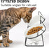 Elevated Tilted Cat Bowls for Indoor Cats, Raised 15° Ceramic Cat Bowl for Food and Water, Anti Vomiting Bowl (Double