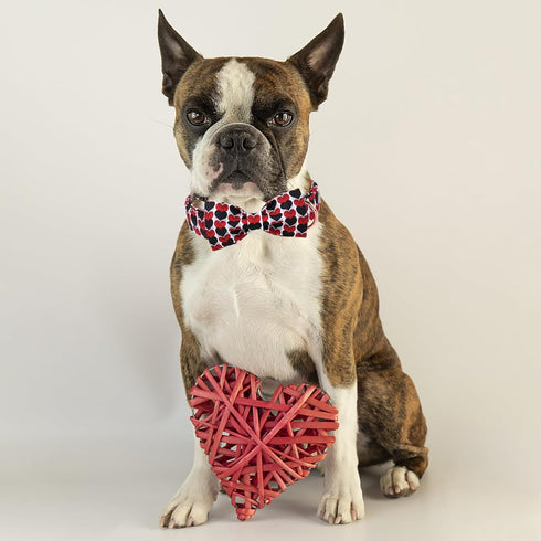 Valentine's Day Adjustable Dog Collar for Small Dogs with Bow Tie, Red&Black Love Heart Collar for Medium Large Dogs,