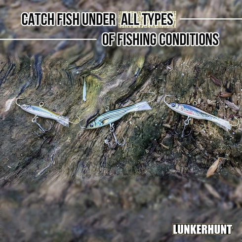 LunkerHunt Bass Fishing Swimbaits and Jigs, Triple Action Walleye Jigs, Saltwater Bait