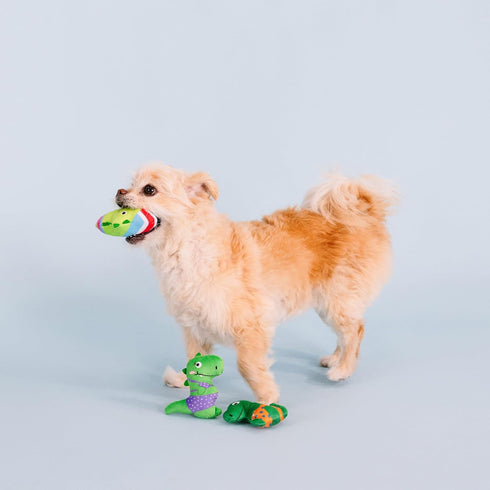 Fringe Studio Plush Dog Toy Set - Rawr-Ing Summer, Small 3 Piece Set, Pet Shop Collection (662089)