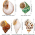 5PCS Medium and Large Hermit Crab Shells, Natural Sea Conch Size 2.2" - 3.4" for Hermit Crab Supplies