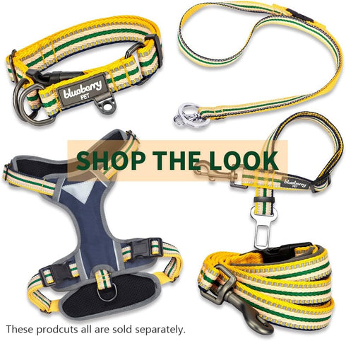 Blueberry Pet 3M Reflective Multi-colored Stripe Dog Leash with Soft & Comfortable Handle, 4 ft x 1", Yellow & Green, Large, Leashes for Dogs