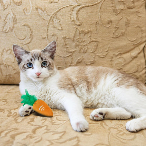 2PCS Andiker Cat Chew Toys, Cute Pineapple Shape Soft Cat Plush Toys with Smooth Skin-Friendly Plush Fabric Containing