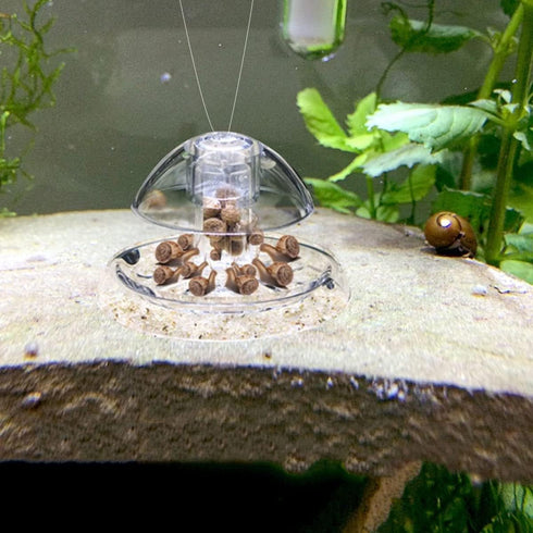 Snail Catcher Plastic Aquarium Snail Trap Box with Fishing Line and Sucker for Fish Tank