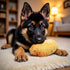 Tnyvm 2025 Vegetable Dog Toy, New Potato Food Shape Squeaky Toys, Toys Chew Toys for Small Medium Large Dogs Squeak