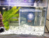 Acrylic Fish Breeding Box, Isolation Box for Aquarium, Hatchery Incubator with Suction Cups for Baby Fishes