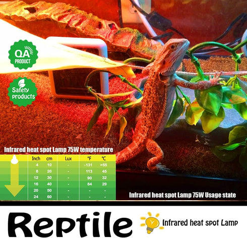 Infrared Heat Lamp Bulbs 75W 2 Pack - Red Basking Spot Light Bulb for Reptiles like Bearded Dragon, Turtle, Snake, with
