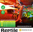 Infrared Heat Lamp Bulbs 75W 2 Pack - Red Basking Spot Light Bulb for Reptiles like Bearded Dragon, Turtle, Snake, with