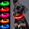 Light Up Dog Collar for Small Dogs, Vizpet XS Adjustable Nylon Collar, USB Rechargeable Bright Safety Pet Collar for