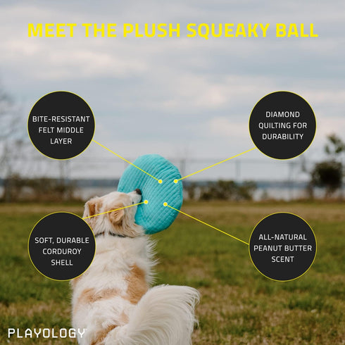 Playology Plush Squeaky Ball Dog Toy - Engaging All Natural Peanut Butter Scented Plush Dog Toy with Interactive Squeaker for Medium Dogs (15-35lbs) - Easy to Clean - Squeak, Chew, Fetch, and Play!